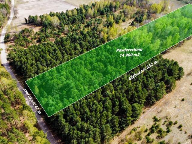 Działka 14 900 m² z lasem i planem zabudowy w Dębienicy
