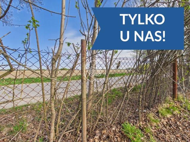 Działka 14 906 m² pod inwestycję lub dom w Strzelcach Górnych