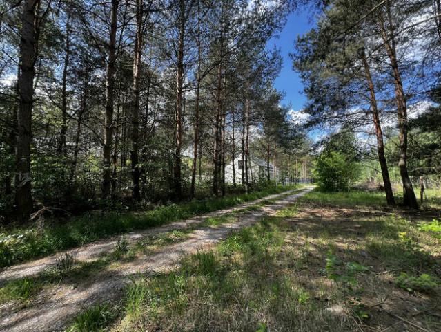 Działka 1500 m2 w leśniej miejscowości Wężyk k.Grodziska Maz