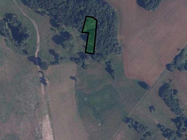 Działka 1500 m² z warunkami zabudowy, las, rzeka