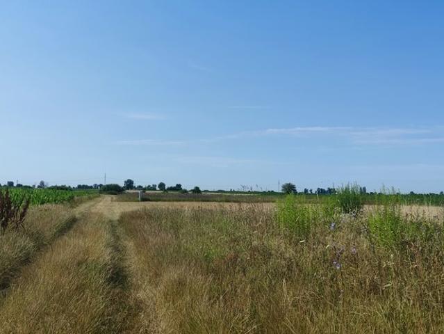 Działka 1500 m² pod domy jednorodzinne, bliźniaki i szeregi