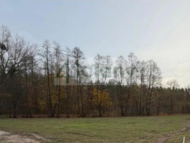 Działka 1507 m² z wodą, las, MPZP, rozbudowa