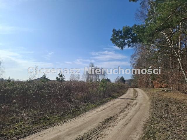 Działka 1527 m2 w Nowym Dąbiu, blisko Bydgoszczy