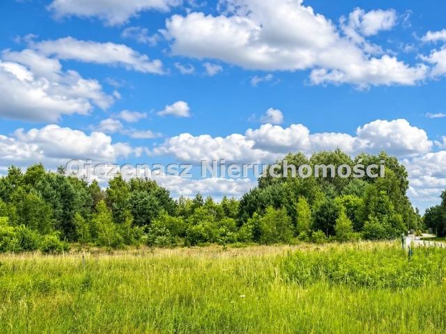 Działka 1530 m² z warunkami zabudowy, las, infrastruktura