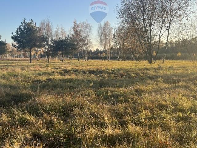 Działka 1533 m² przy lesie w Józefowie – idealna pod dom