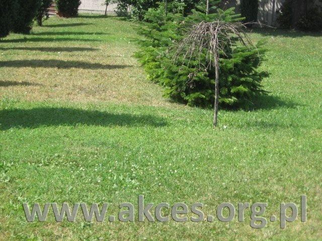 Działka 1557 m² z warunkami zabudowy i prądem