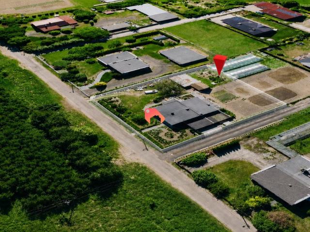 Działka 1559 m² z domem i garażami w Poznaniu