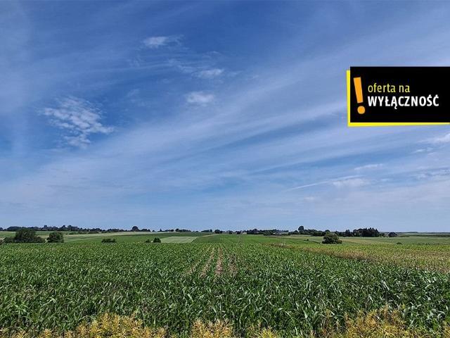 Zapraszam do zakupu działki 1571 m² z warunkami zabudowy w Sielcu