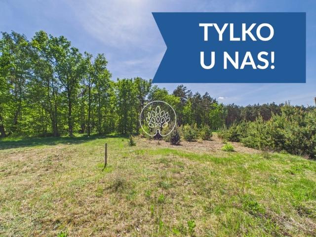 Działka 1585 m² pod dom w lesie – Kobylarnia, cisza i prywatność