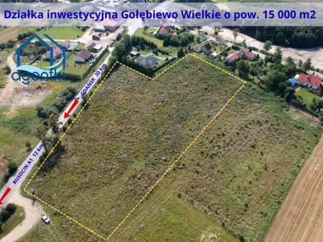 Działka 15 000 m², Gołębiewo Wielkie