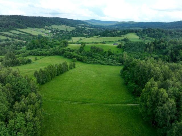 Działka 15 000 m², Hoszów