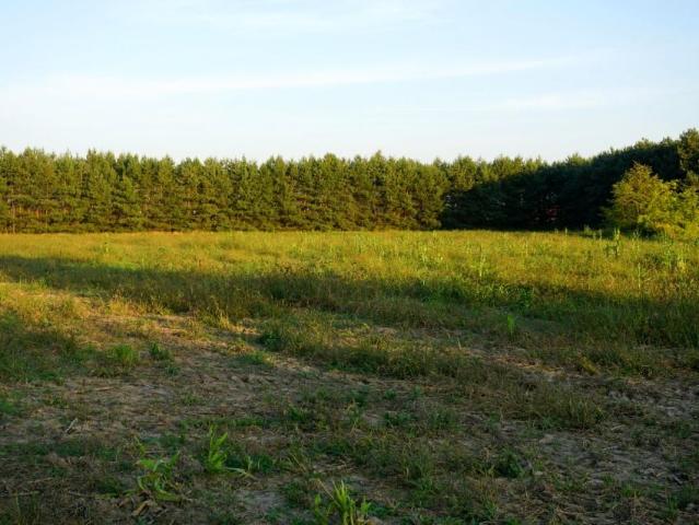Działka 15 000 m², Ramiszów