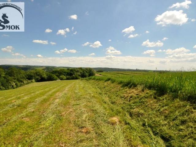 Działka 15 000 m², Wilczkowice