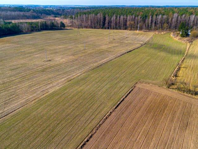Działka 15 248 m², Dźwierszno Małe