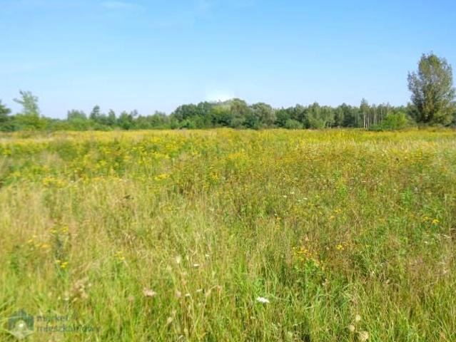 Działka 15 300 m², Małocice