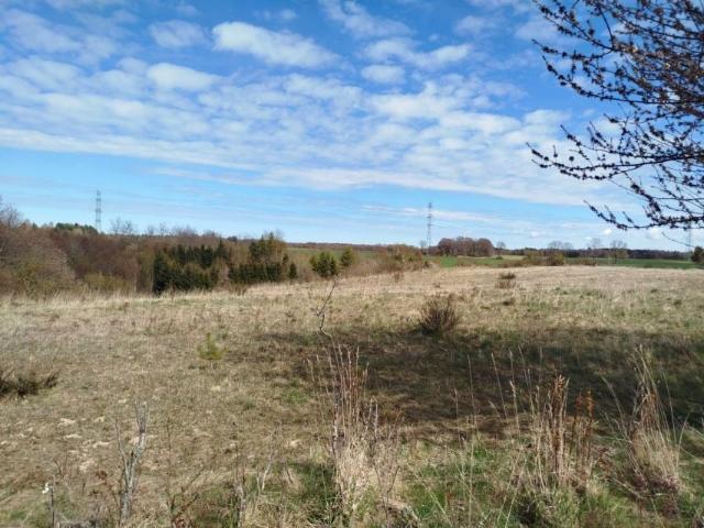 Działka 15 300 m², Toliszczek