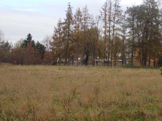 Działka 15 318 m² w Ochaby Małe inwestycja pod usługi