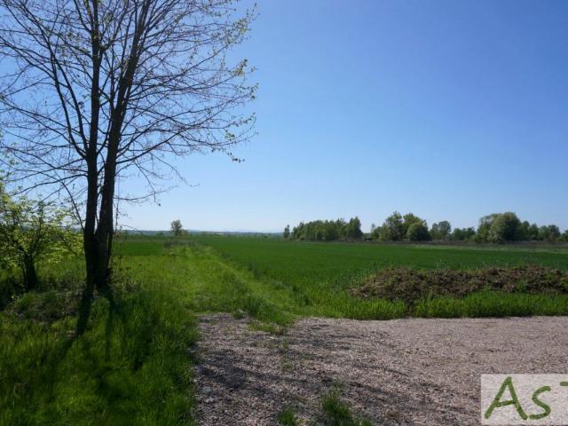 Działka 15 682 m², Wołowice