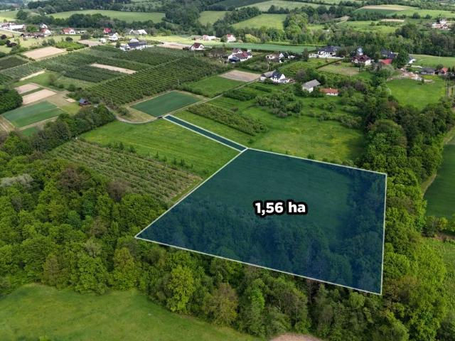 Działka 15 600 m², Sadek