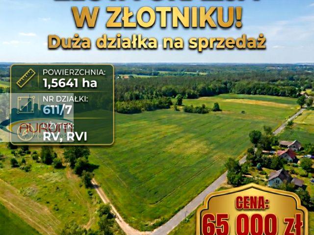 Działka 15 600 m², Złotnik