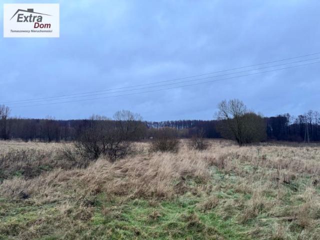 Działka 15 783 m², Lędzin