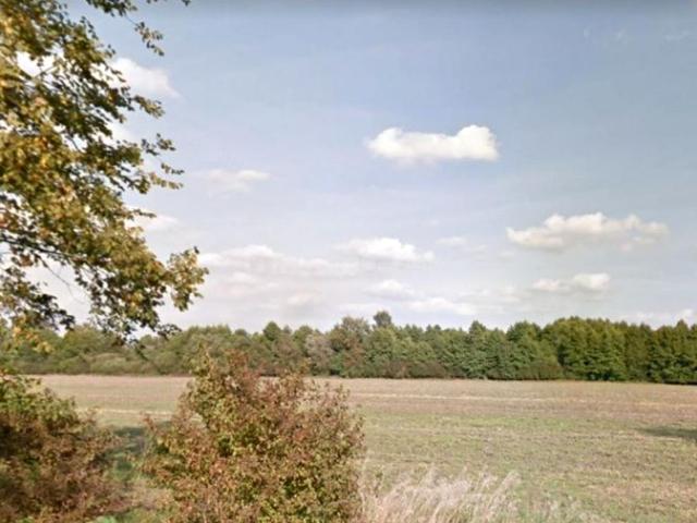 Działka 15 794 m², Międzylesie