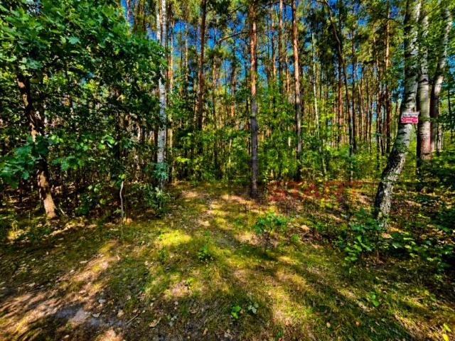 Działka 15 700 m², Słubica Dobra
