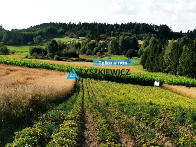 Działka 15 813 m², Sikorzyno