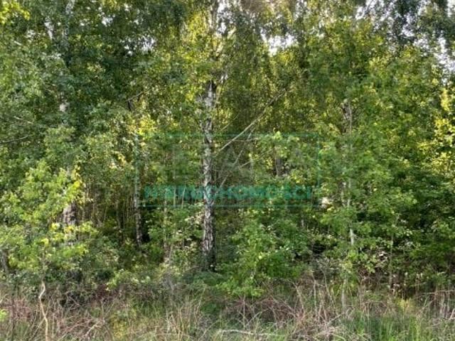 Działka 15 946 m², Stare Budy