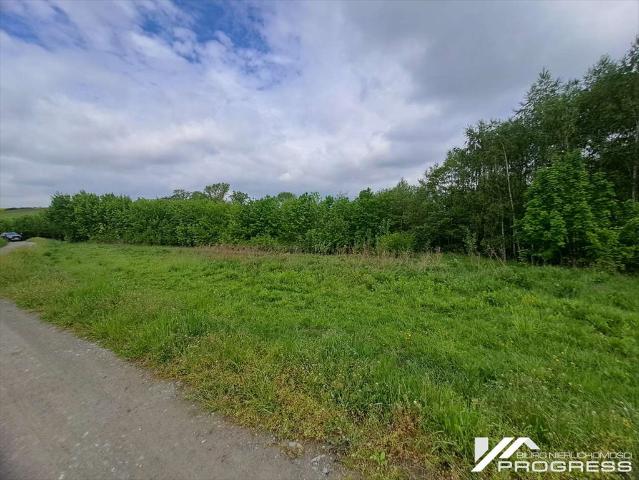 Zapraszam do zakupu działki 1611 m² z WZ pod zabudowę zagrodową