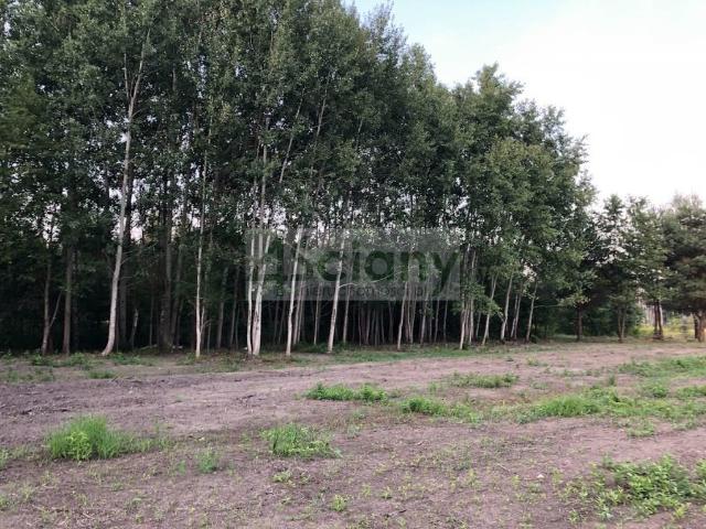 Działka 1674m2 w Komorowie z projektem i pozwoleniem