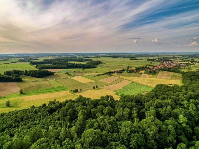Działka 16 163 m², Cimanie