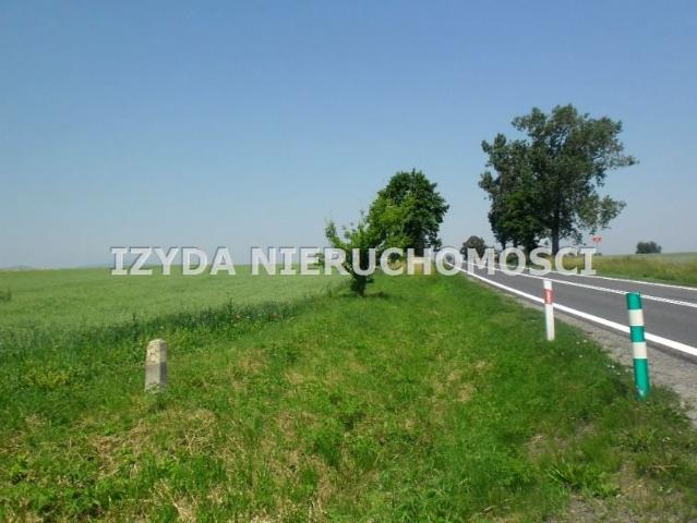 Działka 16 100 m², Łagiewniki
