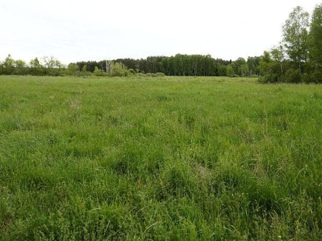 Działka 16 400 m², Ełk