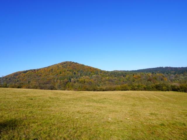 Działka 16 500 m², Klimkówka
