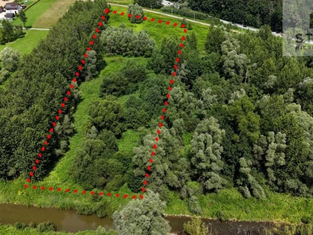 Działka 16 640 m², Chojnik