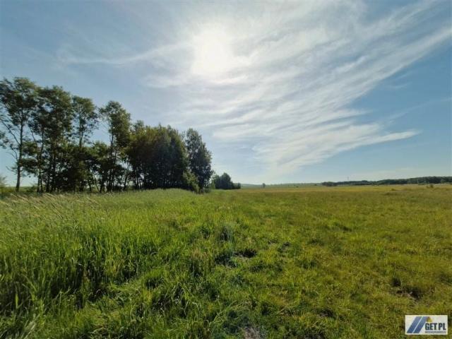Działka 16 600 m², Kępie