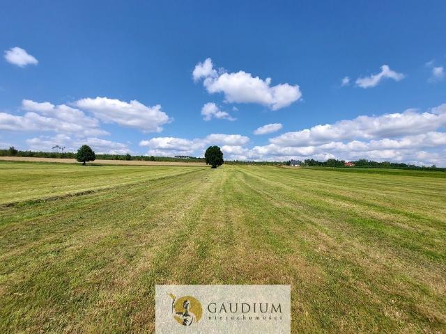 Działka 16 600 m² w Leśnie inwestycje i siedlisko