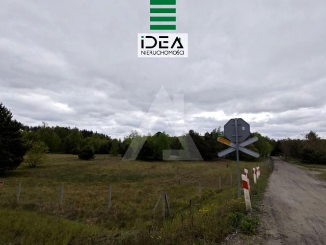 Działka 16 398 m², Kruszyn Krajeński
