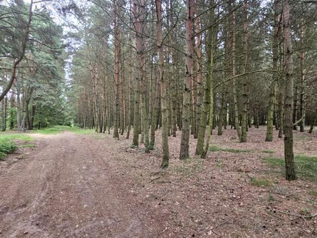 Działka 16 460 m², Chełpa