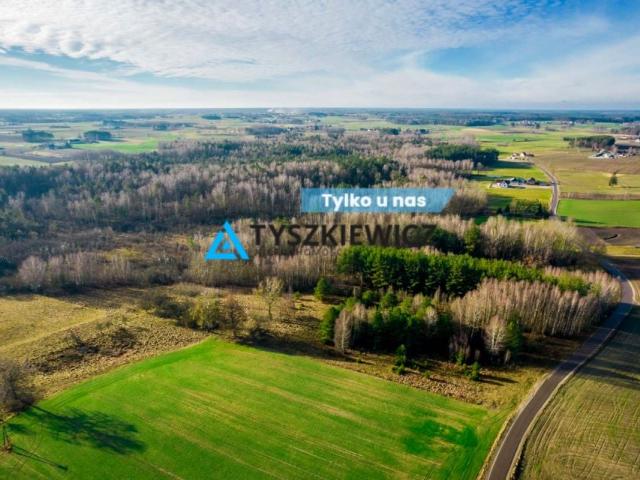 Działka 16 900 m², Nowe Prusy