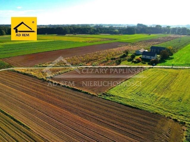 Działka 1713 m² z możliwością własnej aranżacji i niezależności