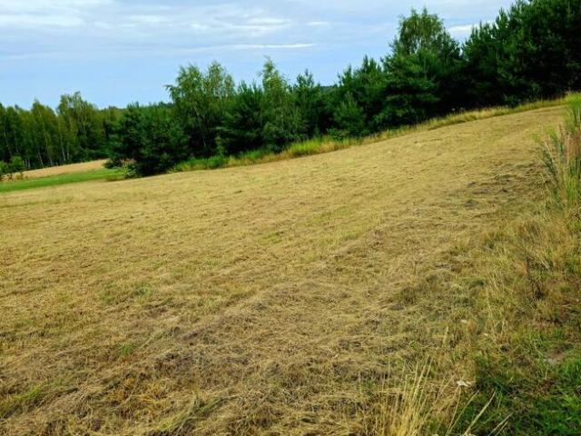 Działka 1714m2