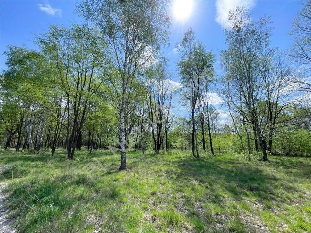 Działka 1720 m2 w Milanówku, cicha i zielona okolica