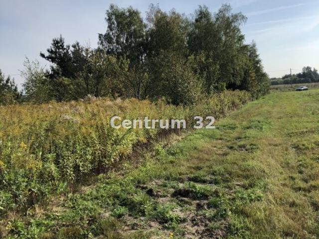 Działka 1721 m² w Siedliskach pod zabudowę jednorodzinną