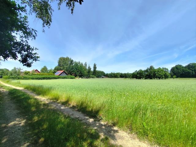 Działka 1765 m² pod zabudowę, las, media polecam!