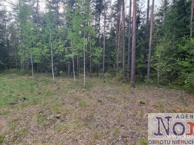 Działka 1783 m² w Puszczy Augustowskiej zapraszam