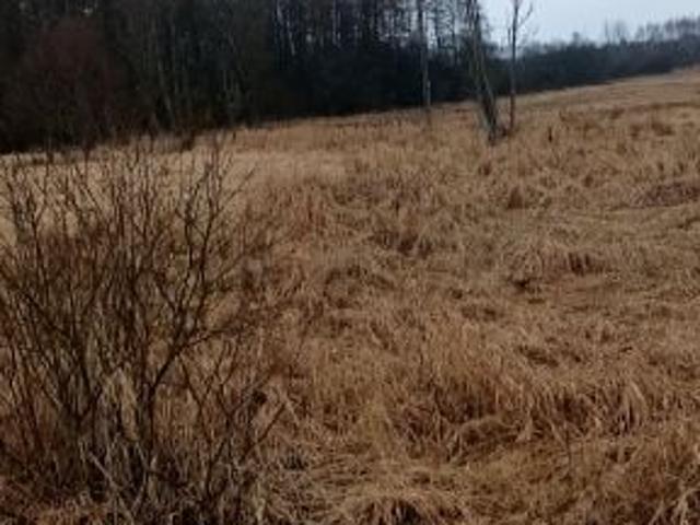 Działka 17 000 m², Białowieża