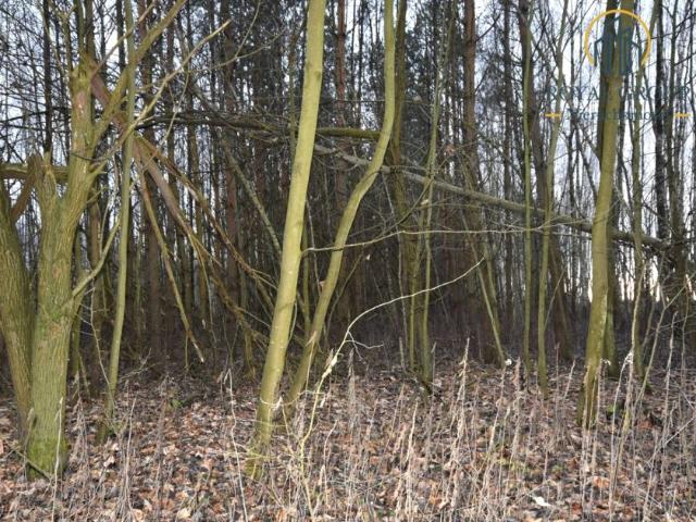 Działka 17 000 m², Jawidz