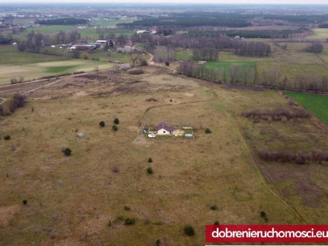 Działka 17 000 m², Skórzewo